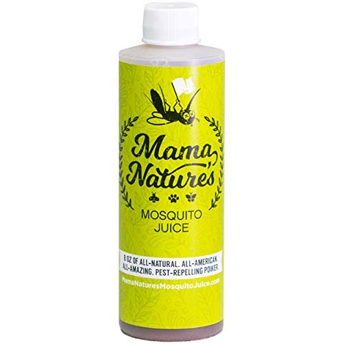 Nature's Promise Juice – 100% Fruit Juice with No Added Sugar